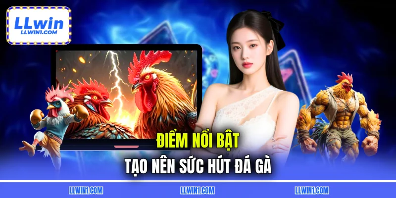 Điểm nổi bật tạo nên sức hút đá gà