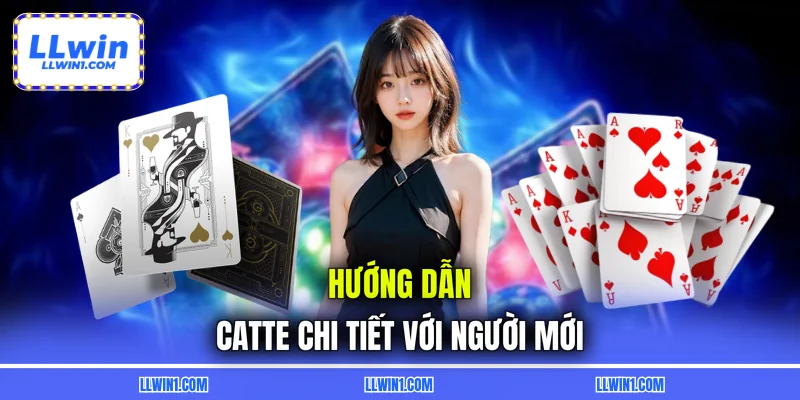 Hướng dẫn catte chi tiết với người mới