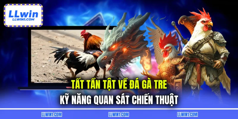 Tất Tần Tật Về Đá Gà Tre - Kỹ Năng Quan Sát Chiến Thuật